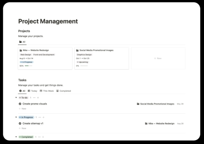 Notion Project Management